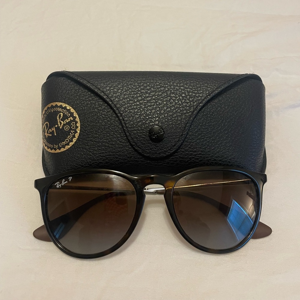 Raybans Polarized Erika Sunglasses